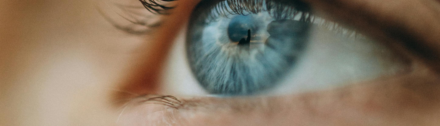 pexels-maksgelatin-9929041